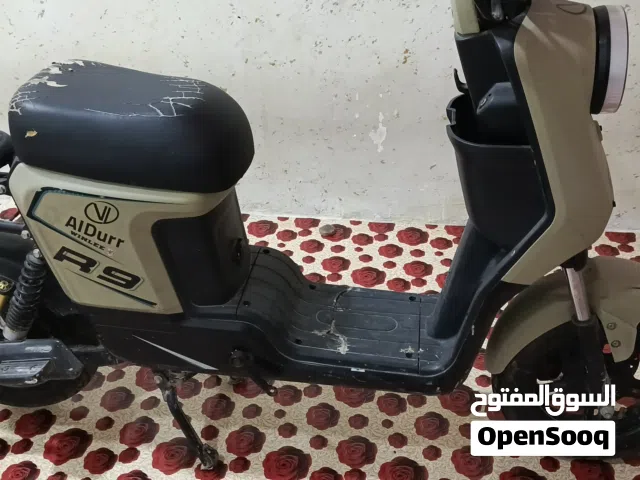 2024 بوجي جميع الفئات