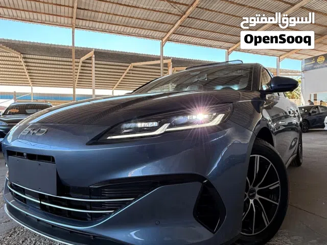 2025, بي واي دي, سيل