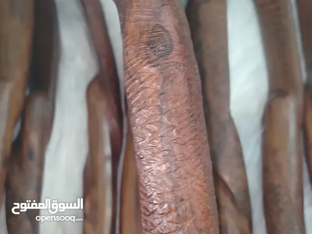 عصا الكوبرا الثقيله مصنوعه من خشب الصنوبر السميك تصلح للهايكنج وكسلاح تخويف الحشرات السامه