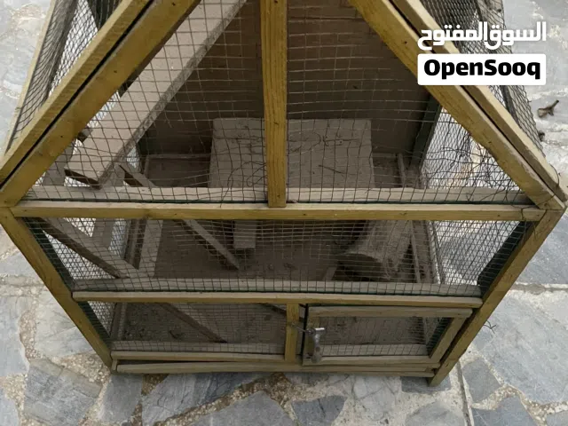 قفص طيور كبير