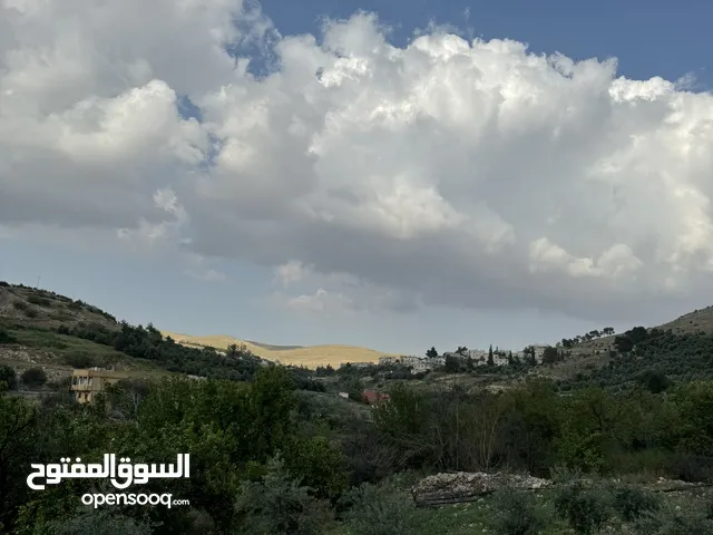 Farm Land for Sale in Zarqa Al-Qnaiya