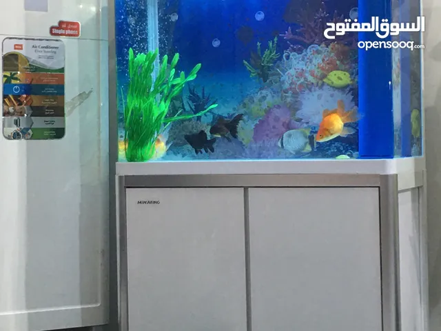 حوض اسماك بايلوجي نوع سامب حجم 80سم