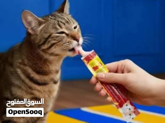 مكافات قطط