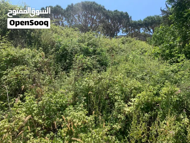 Land for Sale in Aabey – 750 m2 Scenic Mountain Views Road Access