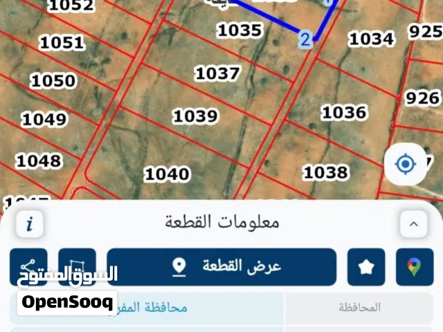 Farm Land for Sale in Mafraq Nayfa