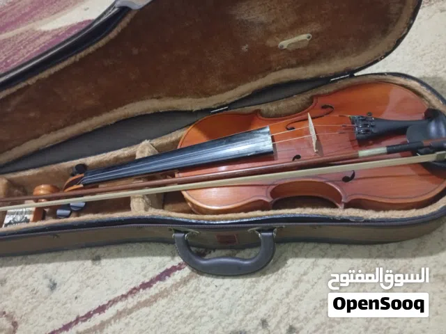 كمان نضيف مع الشنتة