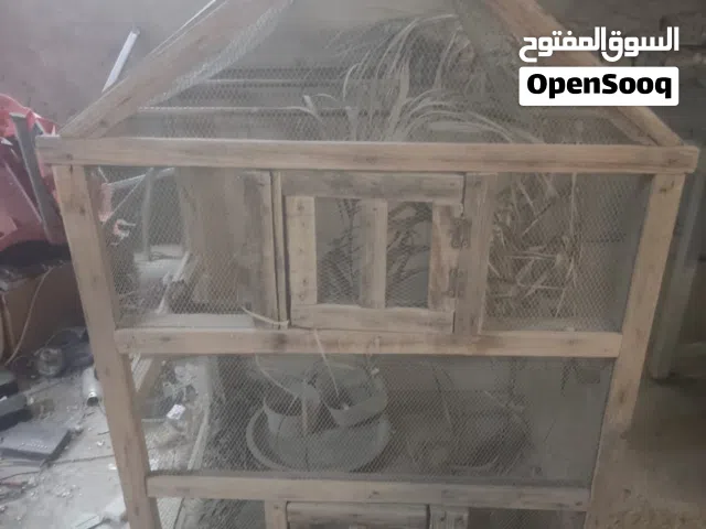 قفص بلابل للبيع