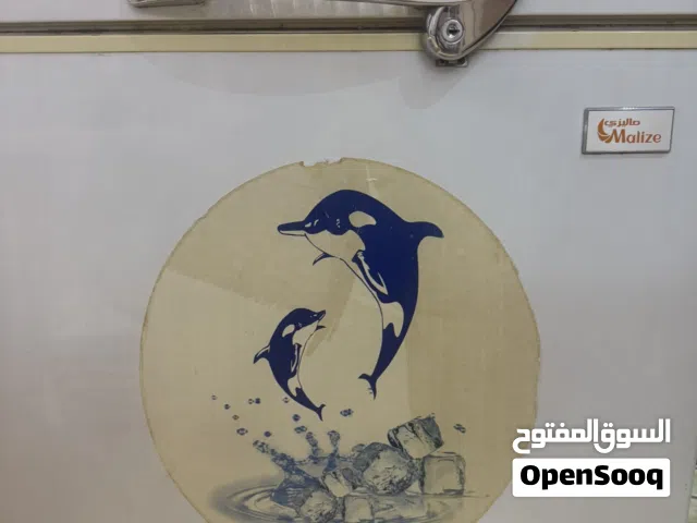 فريز نوع ماليزي