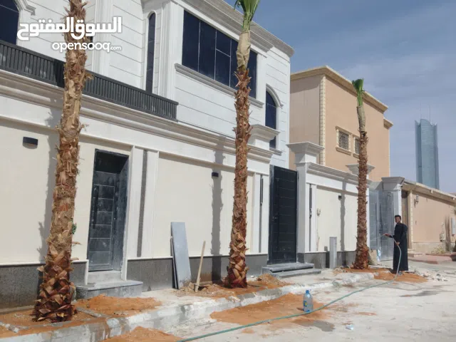 نخيل واشنطني ابومروحه درجه اولى