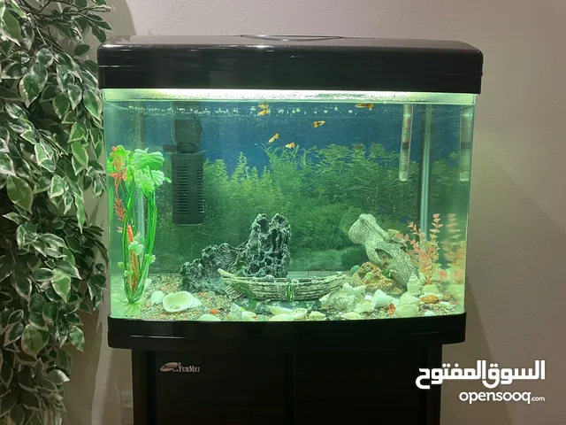 Aquarium with all accessories and fish