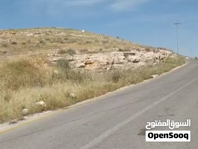 Farm Land for Sale in Mafraq Bala'ama