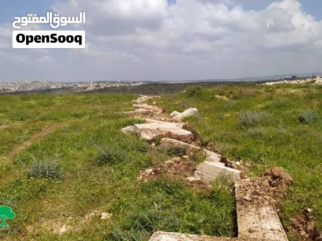 قطعة ارض في قرية جبارة