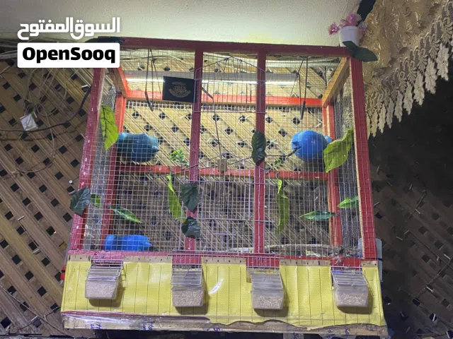 قفص للبيع بحاله الوكاله