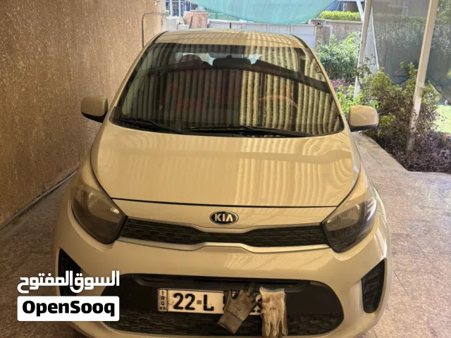 كيا بيكانتو 19