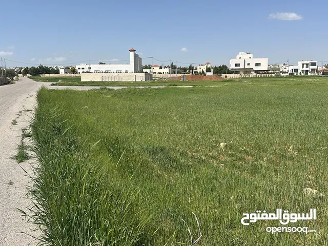 ارض للبيع على شارعين في منجا تلعة النوران