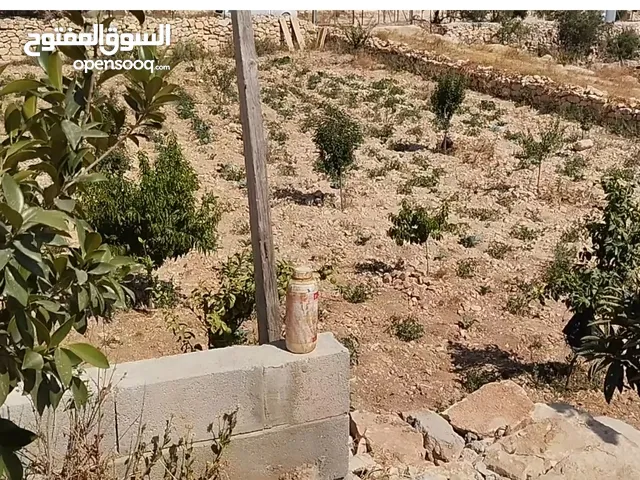 Mixed Use Land for Sale in Hebron Other