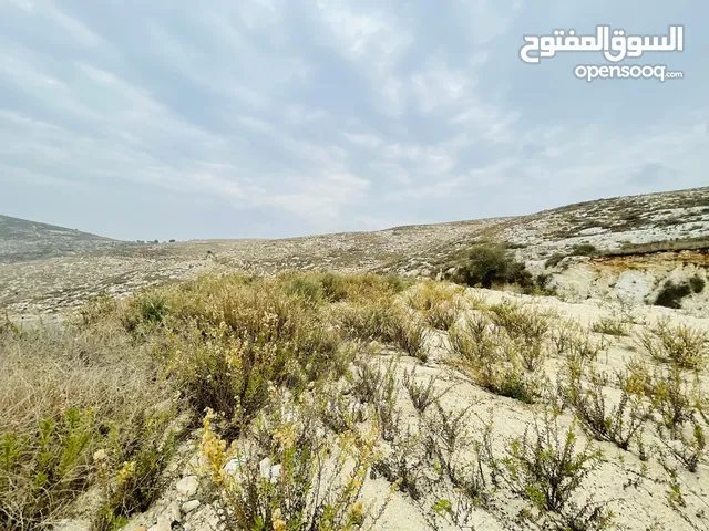 ارض 8 دونم للبيع بين بزاريا وبلعا طابو نابلس