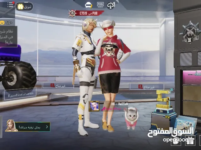 Pubg Accounts and Characters for Sale in Basra