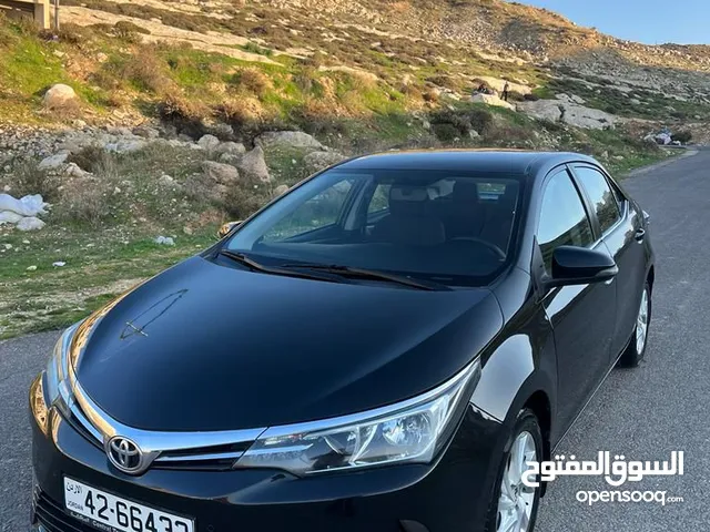 Used Toyota Corolla in Amman
