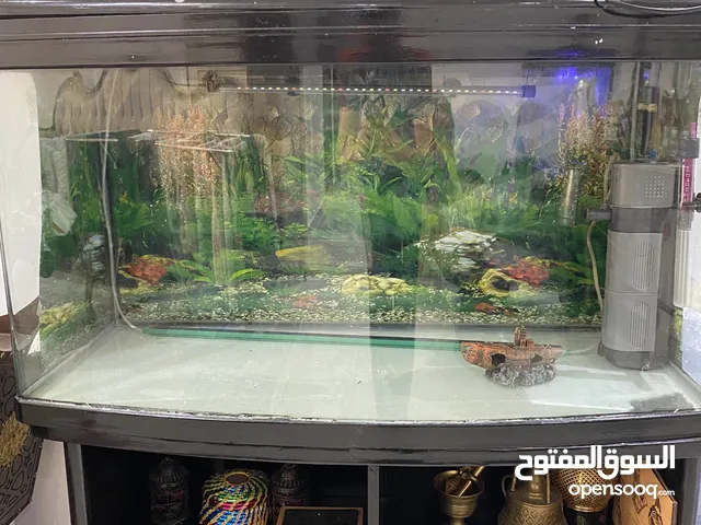 حوض سمك كبير للبيع
