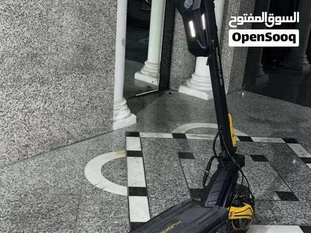 Lx 10 electric scooter