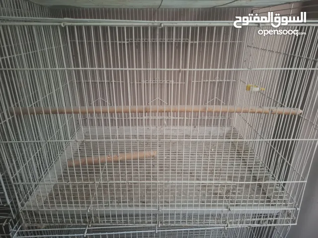 birds cage
