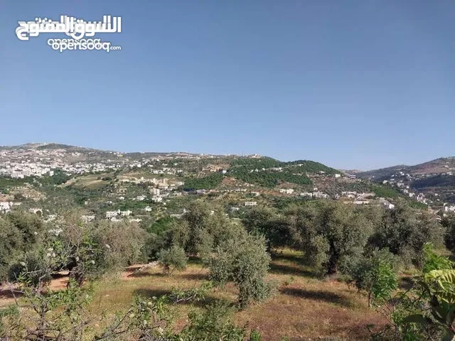 Mixed Use Land for Sale in Ajloun Kuforanja