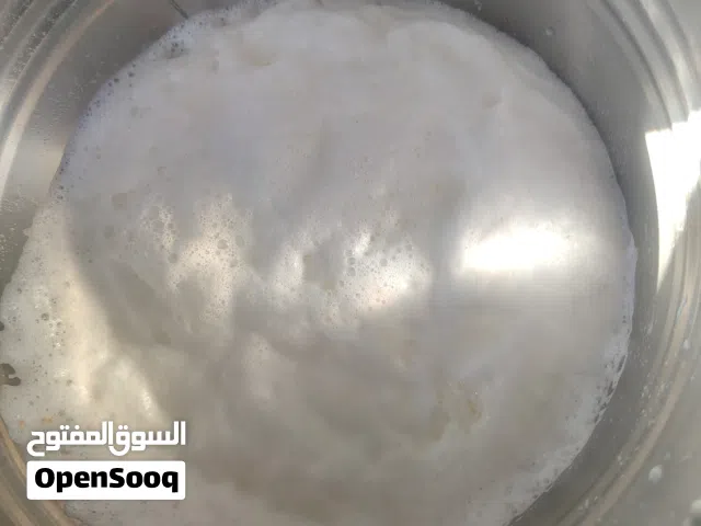حليب بقر طازج بغيت تستخدمه حال سمن يصلح بغيت تشربه يصلح