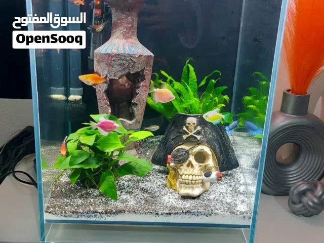 حوض سمك كريستال مع العده