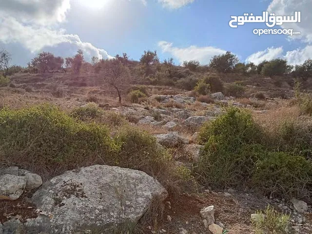 ارض للبيع في عنبتا تصنيف أ كوشان نظيف واصلها جميع الخدمات .تحتوي على اطلاله رائعه ومنطقه راقيه