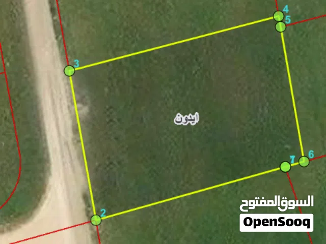 ارض 1145م - ايدون - ماصية قن الجاموس تصلح لشخصين تنظيم سكن (ج) واقعه على شارع الماصية