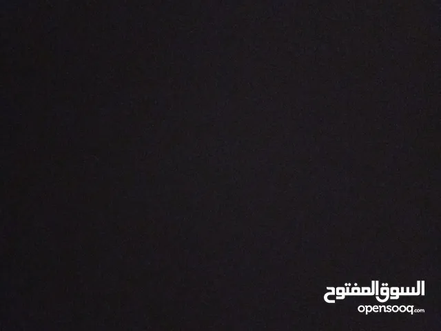 الشيخ