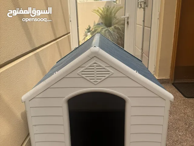 بيت كلاب غير مستعمل