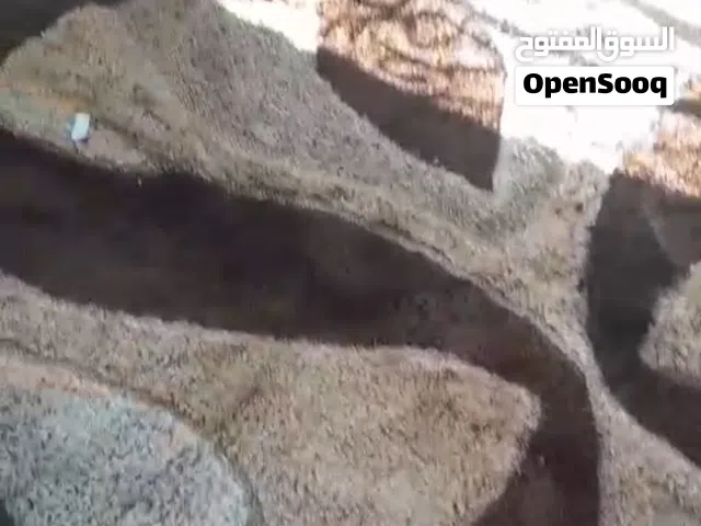 سجاد مستعمل