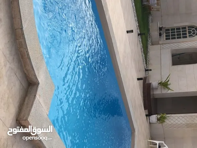 مصنع رؤيه المستقبل للفايبر جلاس