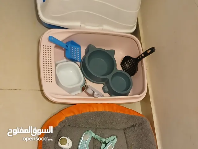 مستلزمات قطط