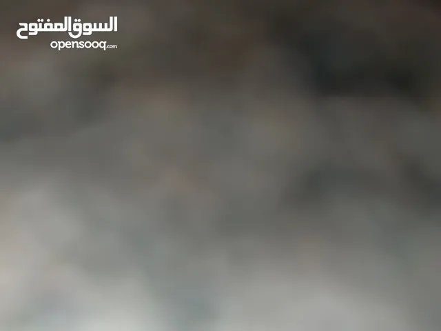 مطلوب شقة مفروشة بإطلالة جميلة
