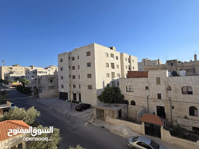 شقه مفروشه للايجار