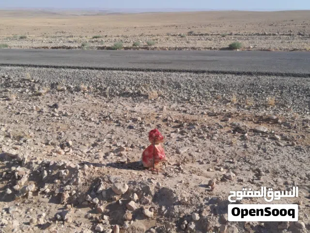 Mixed Use Land for Sale in Al Karak Qusoor Bashir