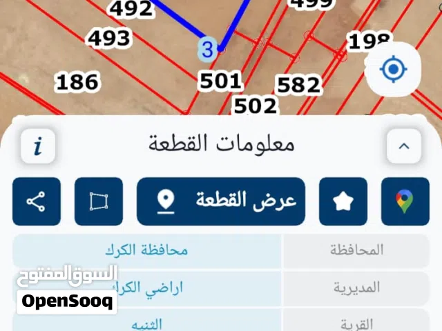 ارض للبيع الثنية