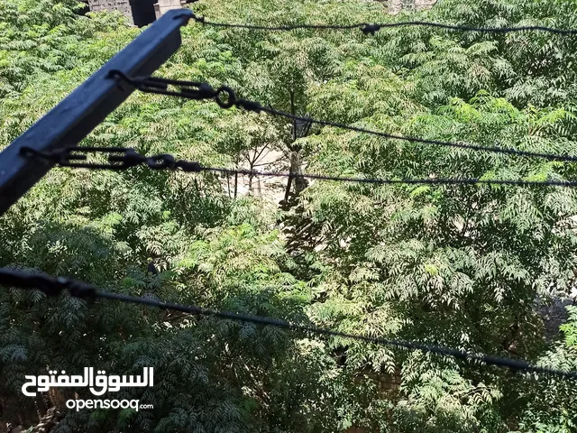منزل للبيع المشهد
