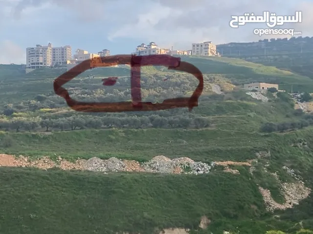 Residential Land for Sale in Nablus Beit Iba