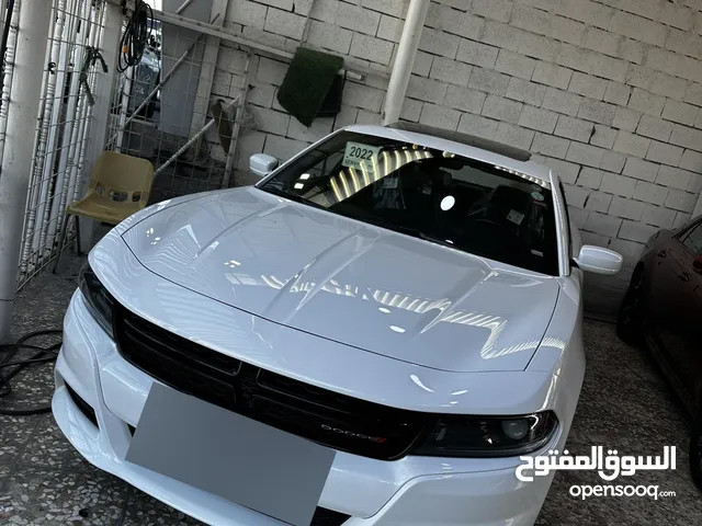 Used Dodge Charger in Basra