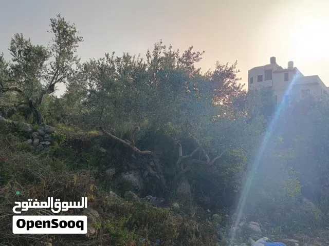 Residential Land for Sale in Tulkarm Anabta