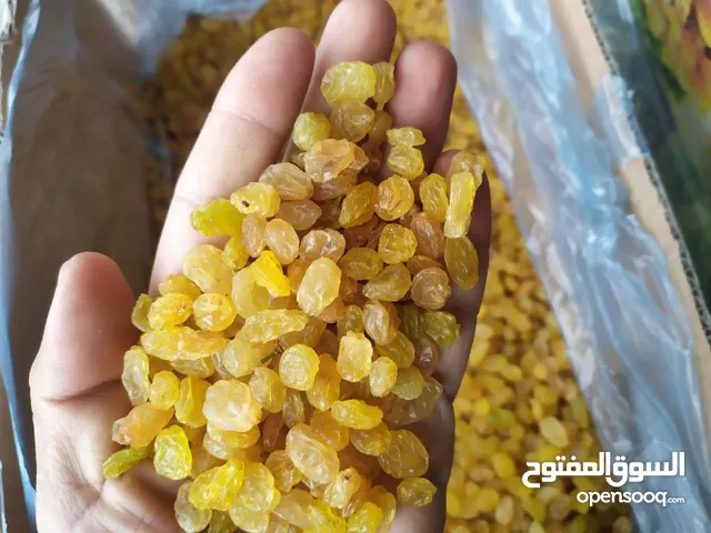 “Premium Golden Raisins – Iran to UAE” زبيب السلطان الذهبي _للتصدير إلى الإمارات