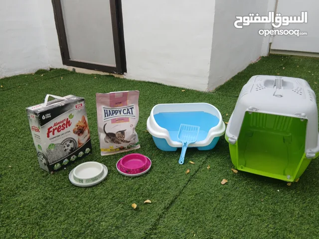 أكسسوارات للقطوة أو للقطط للعمر الـ6 أشهر أو أقل من مركز رويال البيطري ،براندات و صحنين للأكل