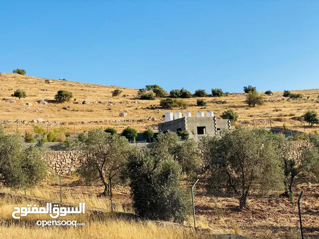 مزرعة شاليه للبيع شرق جرش/ حمامة 3.400متربها شاليه من المالك مباشرة مشجرة زيتون مسنسله جدران ستناديه