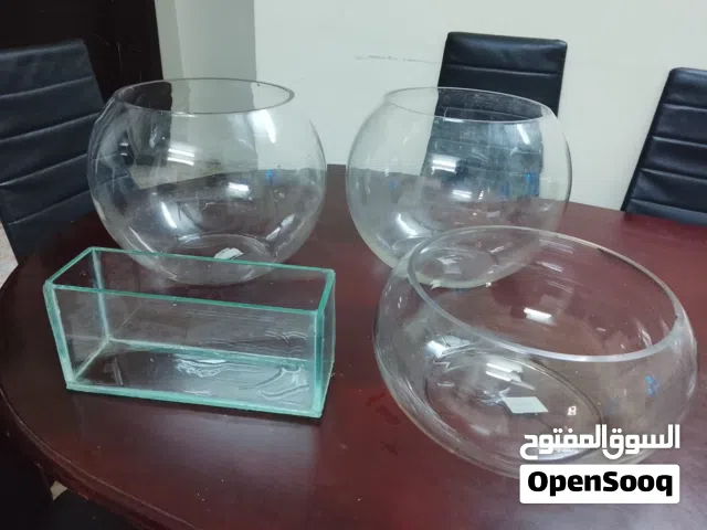 Display tank and bowls