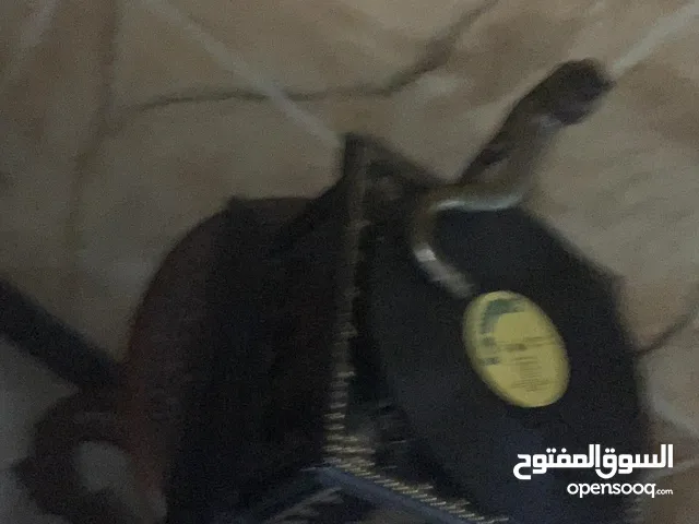 للبيع جرمافون.. (بشتخته)