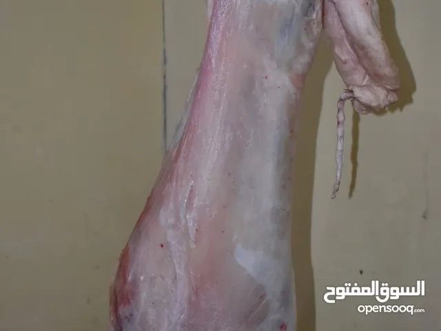 لحام متنقل لذبح اضاحي العيد خرفان و عجول جزار متنقل واصل لباب بيتك
